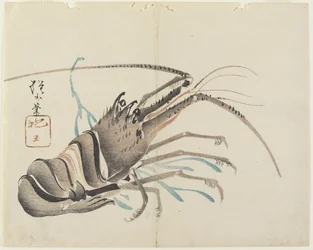 (Écrevisse), vers 1830
